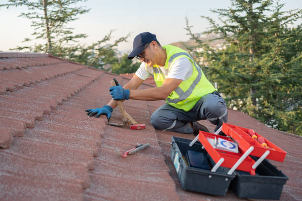 Professional Roofing Contractor in La Cresta, CA